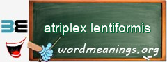 WordMeaning blackboard for atriplex lentiformis